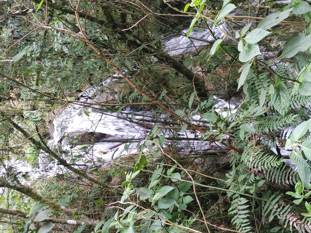 Waterfall at Machu Picchu